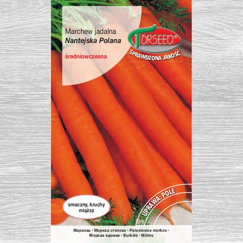 Marchew jadalna Nantejska Polana interface.image 1 interface.art 77624