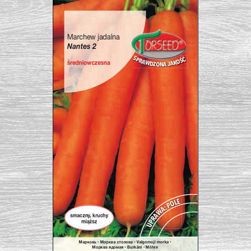 Marchew jadalna Nantes 2 interface.image 1 interface.art 77625