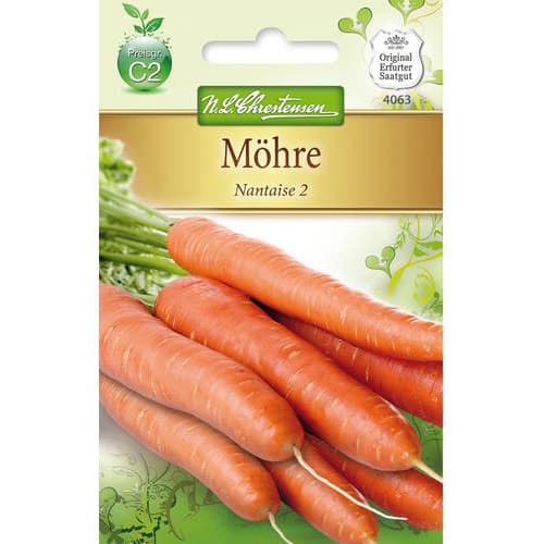 Marchew Nantaise 2 interface.art zdjęcie 1 Marchew Nantaise 2 interface.image 1 interface.art 78732