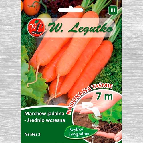 Marchew Nantes 3 interface.image 1 interface.art 69430