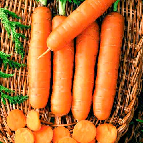 Marchew Nantejska interface.image 1 interface.art 66690