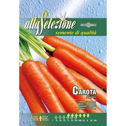 Marchew Nantes Morami interface.image 1 interface.art 87158