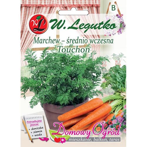 Marchew Touchon interface.image 1 interface.art 69645