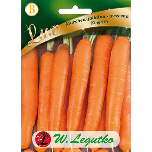 Marchew Kinga F1 interface.image 1 interface.art 78674