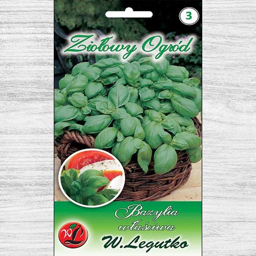 Bazylia właściwa Legutko interface.image 1 interface.art 78704