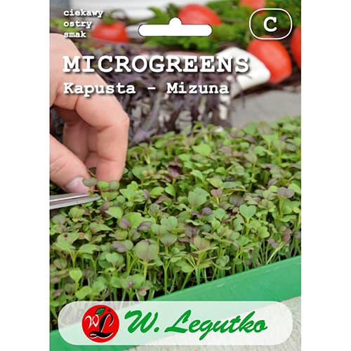 Mikrogreen Kapusta mizuna interface.art zdjęcie 1 Mikrogreen Kapusta mizuna interface.image 1 interface.art 78688
