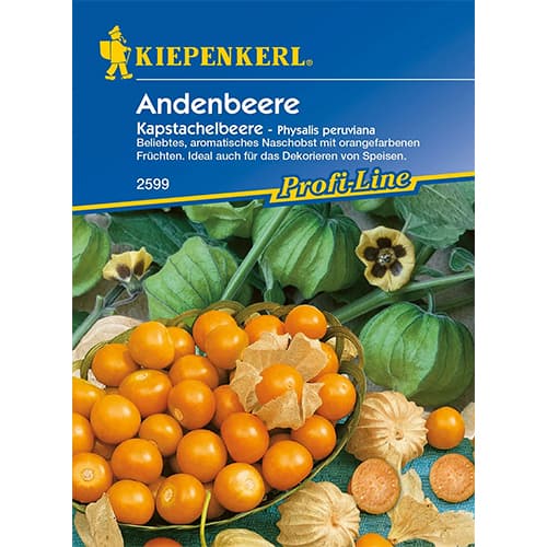 Miechunka jadalna Kapstachelbeere interface.art zdjęcie 1 Miechunka jadalna Kapstachelbeere interface.image 1 interface.art 86239