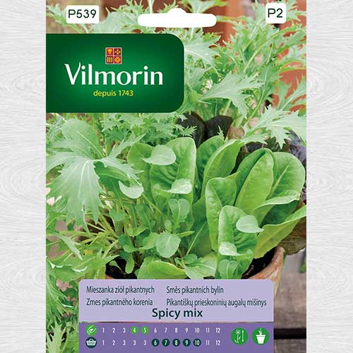 Mieszanka ziół pikantnych Spicy mix interface.image 1 interface.art 69703