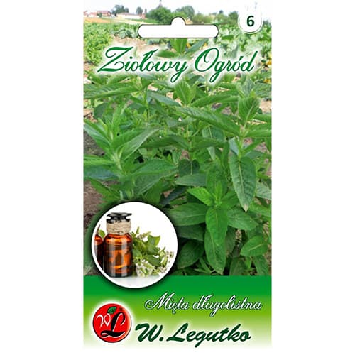 Mieta dlugolistna interface.image 1 interface.art 78707