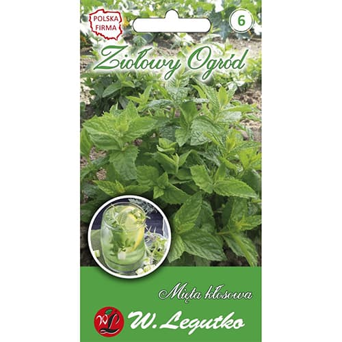 Mieta klosowa interface.art zdjęcie 1 Mieta klosowa interface.image 1 interface.art 69679