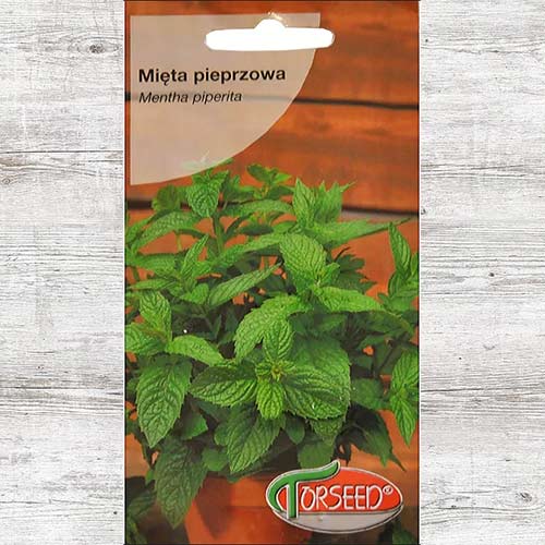 Mięta, nasiona interface.image 1 interface.art 87021