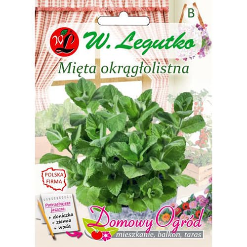 Mieta okraglolistna interface.image 1 interface.art 69646