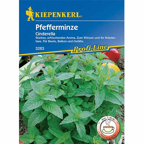 Mięta pieprzowa Cinderella Kiepenkerl interface.image 1 interface.art 96646