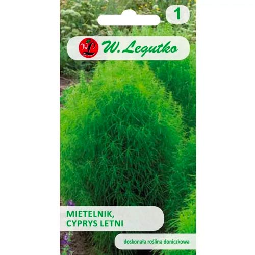 Mietelnik interface.image 1 interface.art 78580