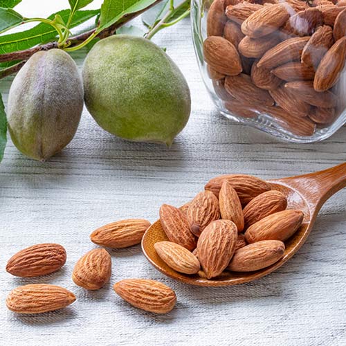 Migdałowiec Avijor, С2 interface.image 2 interface.art 7947