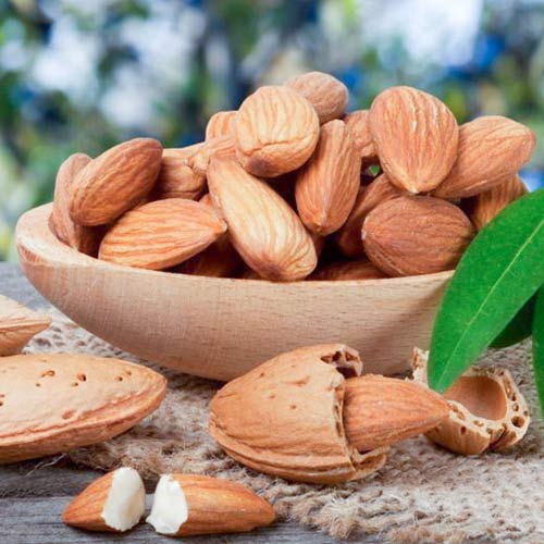 Migdałowiec Ferragnes interface.image 2 interface.art 7949