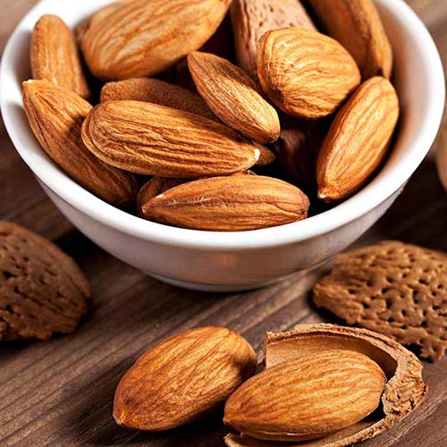 Migdałowiec Guara interface.image 2 interface.art 7950