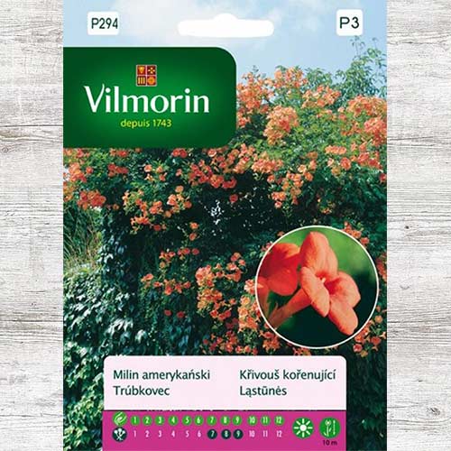 Milin amerykański interface.image 1 interface.art 86644