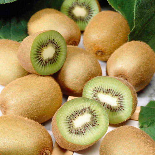 Mini-kiwi (actinidia) Jenny interface.art zdjęcie 1 Mini-kiwi (actinidia) Jenny interface.image 1 interface.art 8424