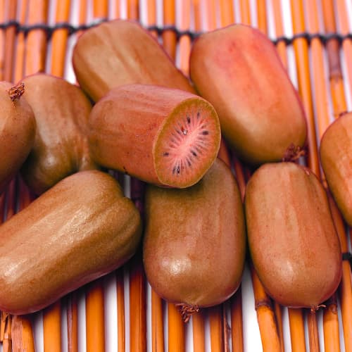 Mini kiwi (aktinidia) Ken's Red, P9 interface.image 1 interface.art 9240