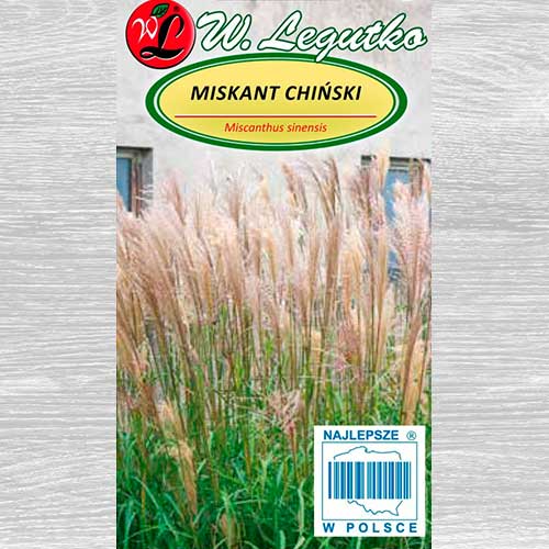 Miskant chiński Legutko interface.image 1 interface.art 69610