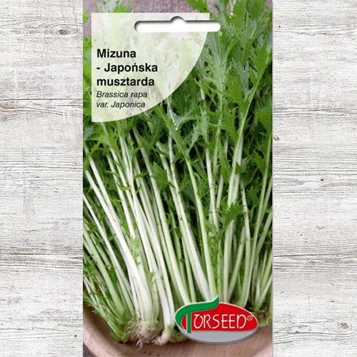 Mizuna zielona interface.image 1 interface.art 86963