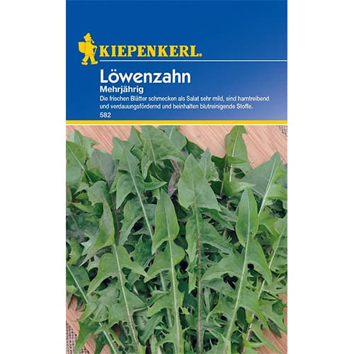 Mniszek wieloletni interface.image 1 interface.art 77491