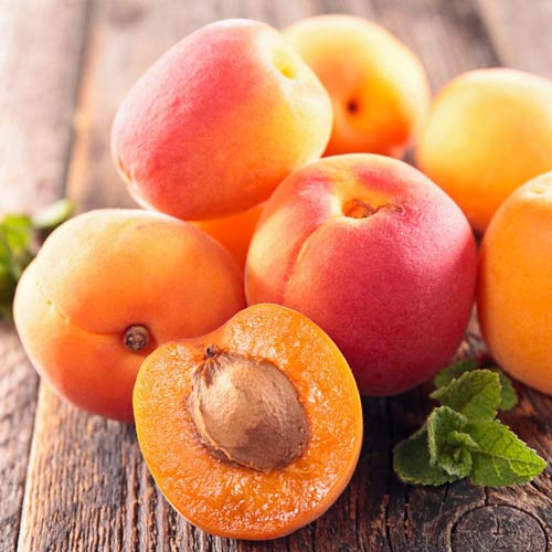 Morela Madlen interface.image 2 interface.art 7995