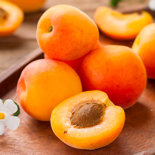 Morela South Sea, С2 interface.image 1 interface.art 1626