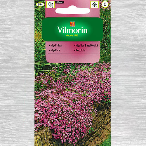 Mydlnica różowa interface.image 1 interface.art 77682