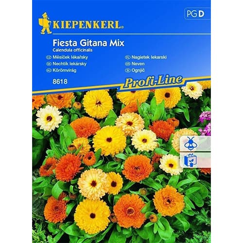 Nagietek Fiesta Gitana, mix kolorow interface.art zdjęcie 1 Nagietek Fiesta Gitana, mix kolorow interface.image 1 interface.art 96519