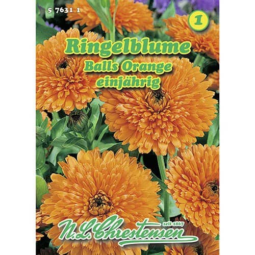 Nagietek Balls Orange interface.art zdjęcie 1 Nagietek Balls Orange interface.image 1 interface.art 96405