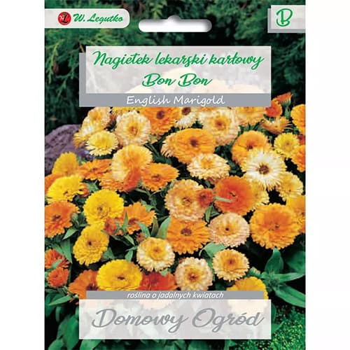 Nagietek Bon Bon, mix kolorow interface.image 1 interface.art 69660