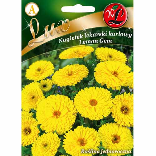 Nagietek lekarski Lemon Gem Legutko interface.image 1 interface.art 96774