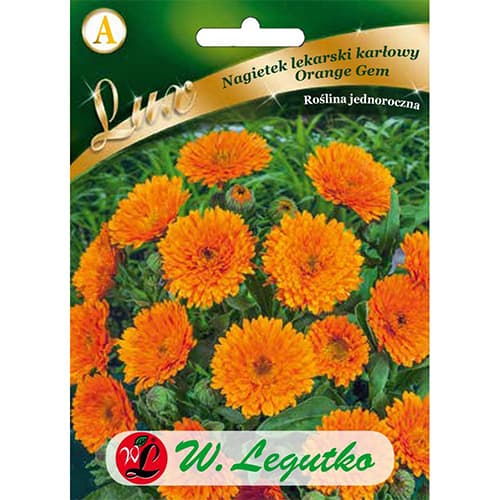 Nagietek lekarski Orange Gem interface.image 1 interface.art 86749