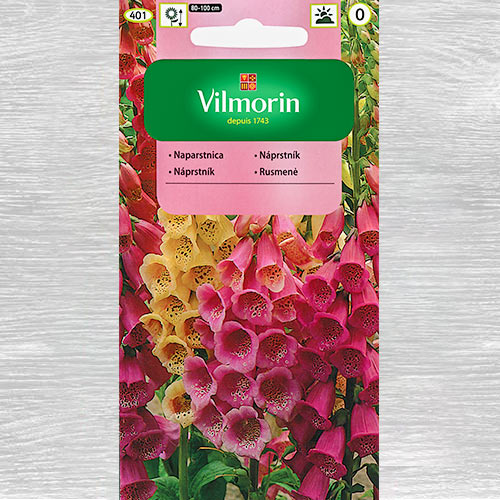 Naparstnica Foxy, mieszanka interface.image 1 interface.art 77683