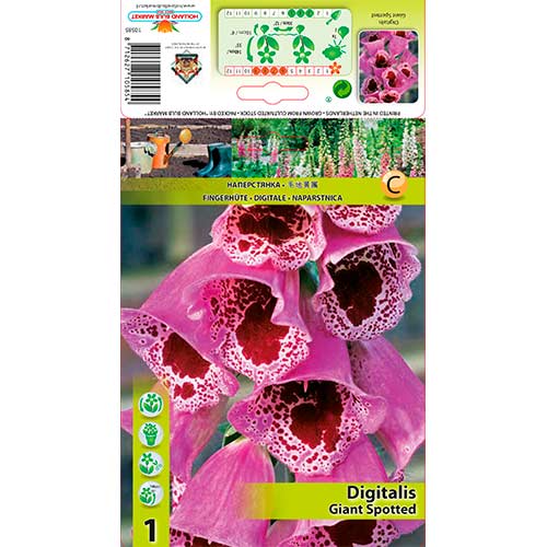 Naparstnica Giant Spotted interface.image 1 interface.art 70384