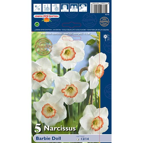 Narcyz Barbie Doll interface.image 1 interface.art 67639