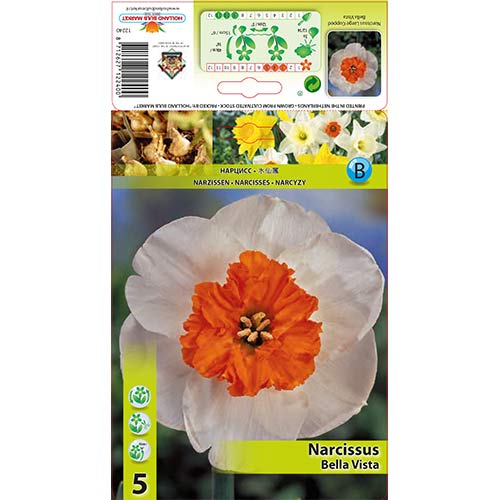 Narcyz Bella Vista interface.image 1 interface.art 67640