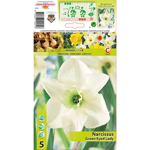 Narcyz drobnoprzykoronkowy Green Eyed Lady interface.image 1 interface.art 67429
