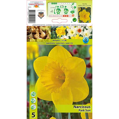 Narcyz Park Sun interface.image 1 interface.art 67654