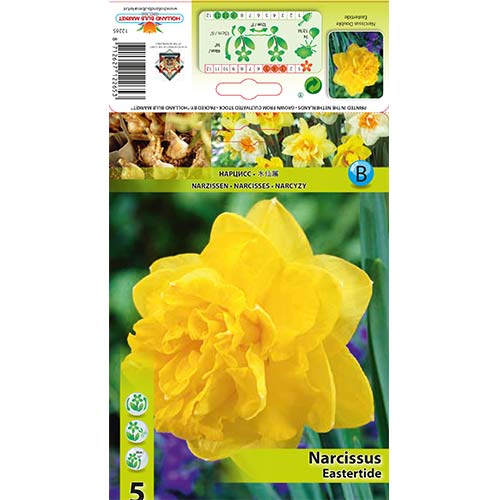 Narcyz pełny Eastertide interface.art zdjęcie 1 Narcyz pełny Eastertide interface.image 1 interface.art 70280