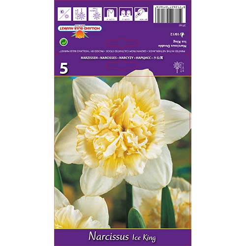 Narcyz pełny Ice King interface.image 1 interface.art 67415