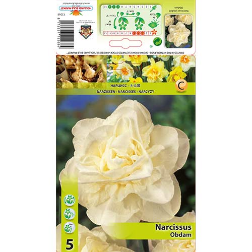 Narcyz pełny Obdam interface.image 1 interface.art 70286