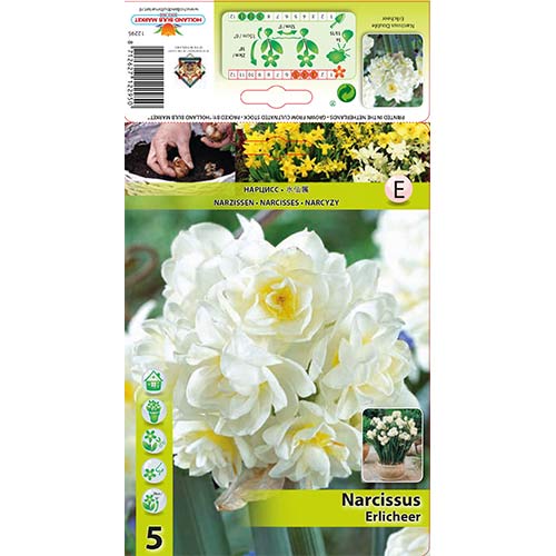 Narcyz wielokwiatowy Erlicheer interface.image 1 interface.art 70285