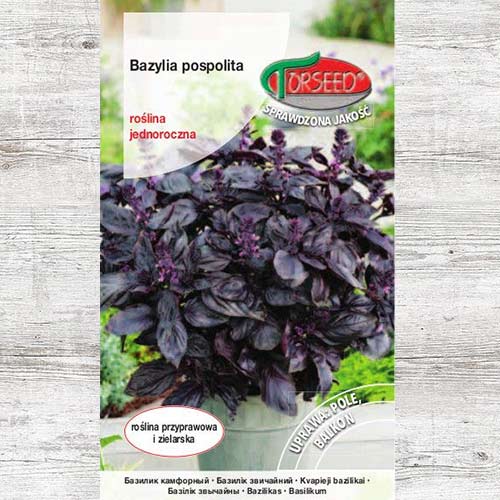 Nasiona Bazylia czerwona interface.image 1 interface.art 87000