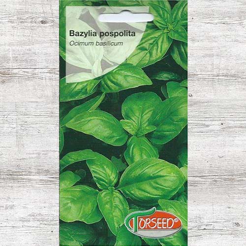 Nasiona Bazylia zielona interface.image 1 interface.art 86924