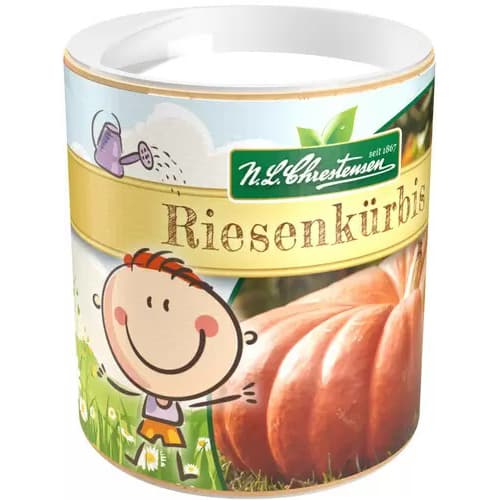 Dynia Rouge vif d'Etampes nasiona dla dzieci interface.art zdjęcie 1 Dynia Rouge vif d'Etampes nasiona dla dzieci interface.image 1 interface.art 87837