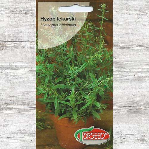 Nasiona Hyzop lekarski interface.image 1 interface.art 86933