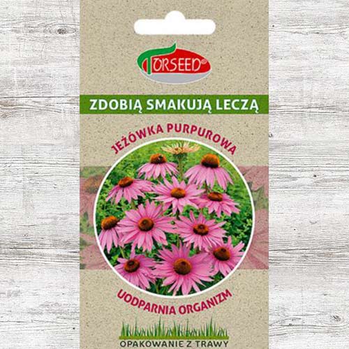 Nasiona Jeżówka purpurowa interface.image 1 interface.art 86935